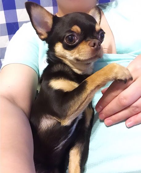 Мы с Сёмушкой 😊🐶