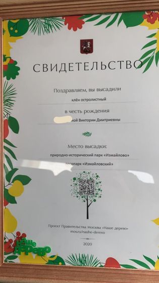 Именное дерево:)