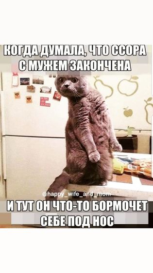 Немного юмора в ленту