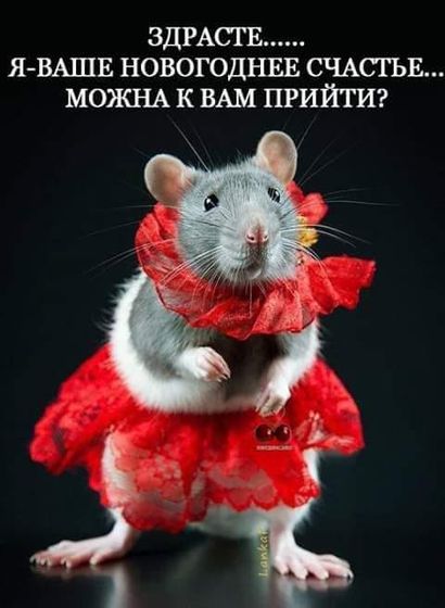 Старый год завершает свое
