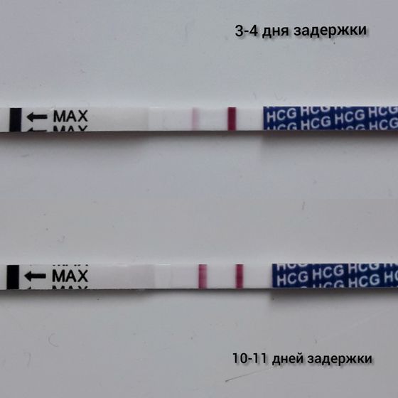 Сегодня сделала второй тест,