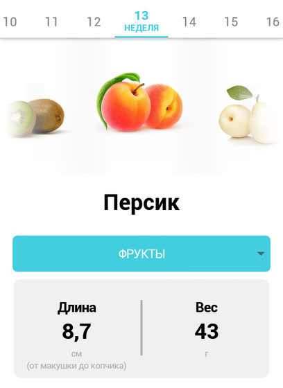13 недель или 2-й триместр