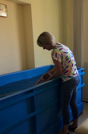 Грудничковое плаванье