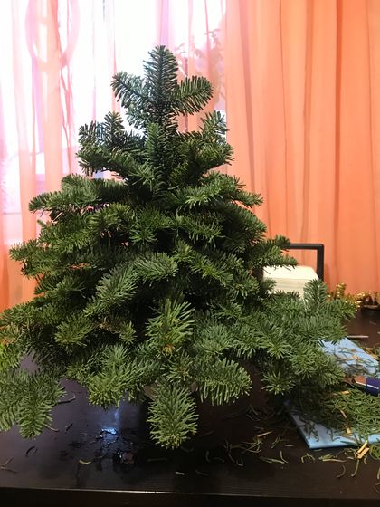 Ёлочка из пихты