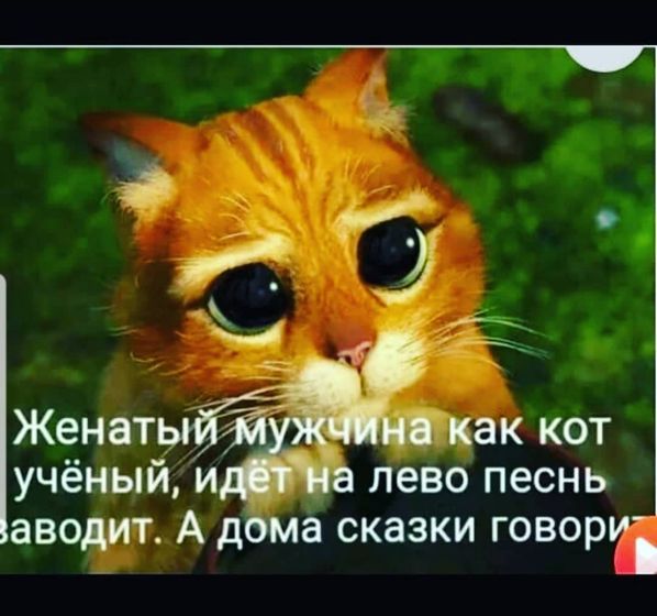 😂😂