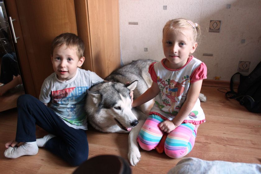 34 недели