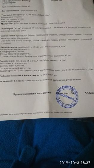 УЗИ на 10 ду