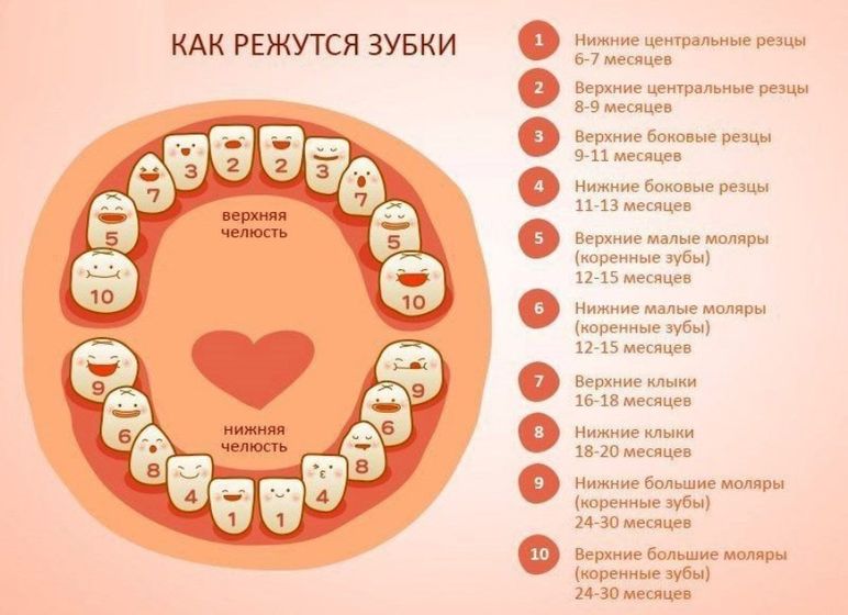 Как долго мы их ждали...