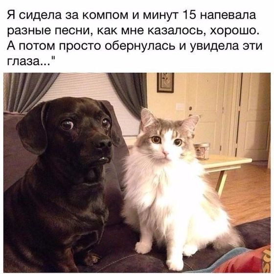 Хахахаха)