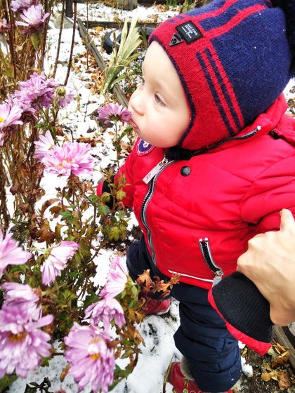 Вот и к нам зима пришла ❄️