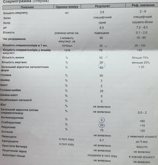 Бесплодие МФ, что мне делать?