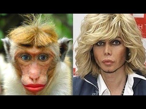 Первое впечатление о человеке - самое правдивое?
