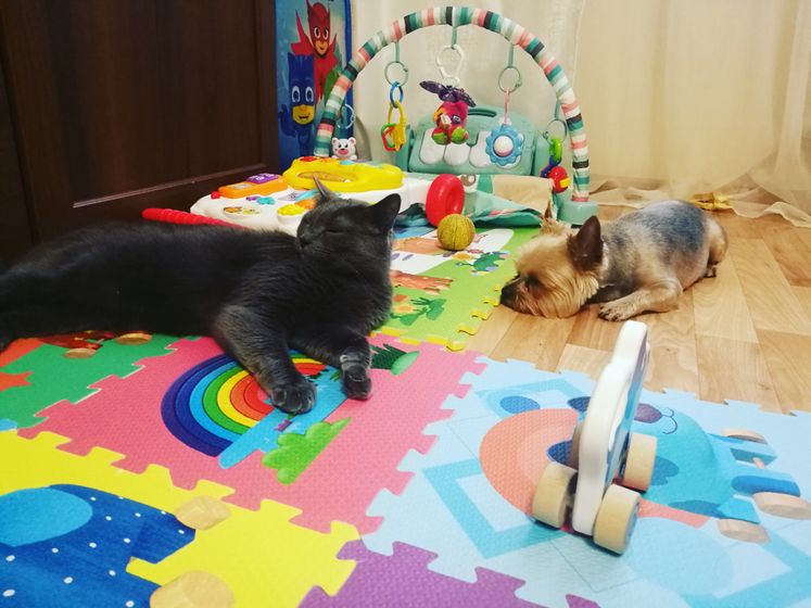 Мои мальчики ??❤️❤️❤️?
