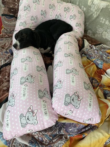 Подушка для беременных! Рада вся семья )
