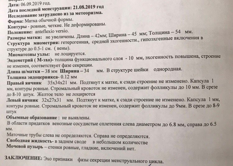 После овуляции не видно ЖТ