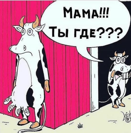 Ой как сейчас в тему