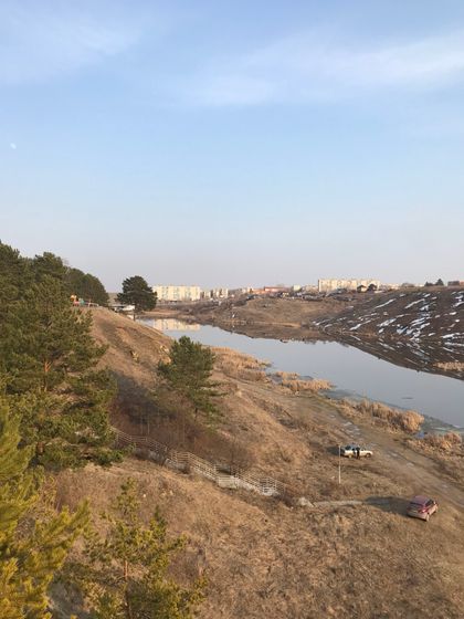 Прогулка в нашем лесу.