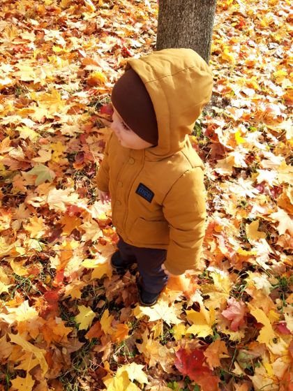 Осень золотая! 🍁