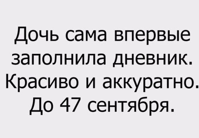 Новый учебный год