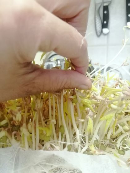 Проснулась и я больная