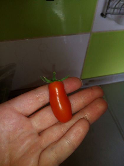 Балконный огород)))