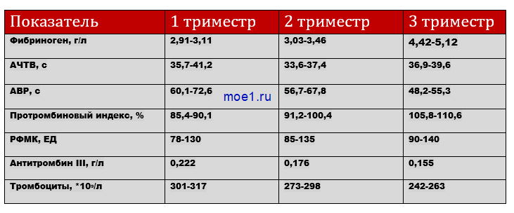 Наши 33 недели ♥