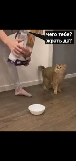 Спокойной ночи всем ?