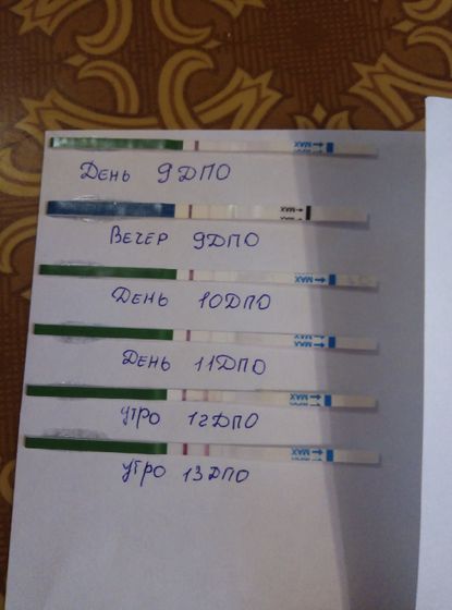 УЗИ в 1день задержки