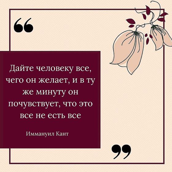 Цитата дня