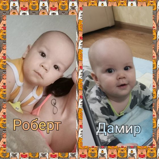 Роберт & Дамир