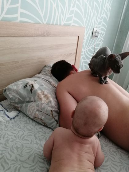 Когда за ночь