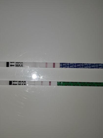 26 день цикла,11-12дпо.