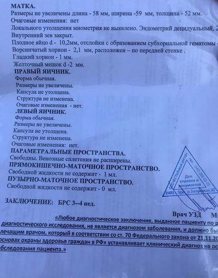 По узи срок 3-4 нед