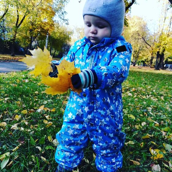 Давно ничего не писала