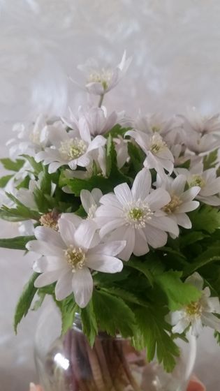 Итак, что мы имеем)