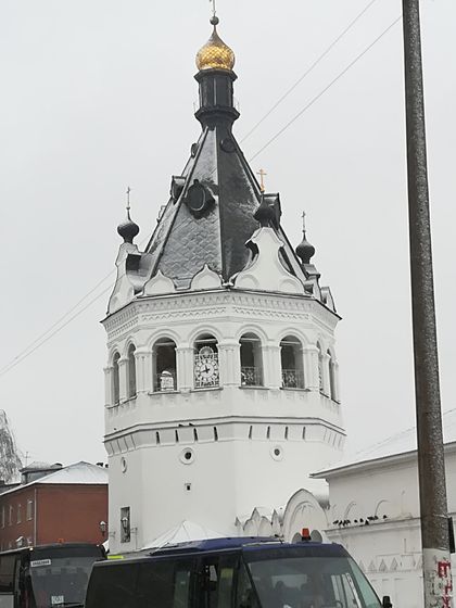 Поездка в Кострому. Ч.1. Новогодняя Кострома и прогулки по городу
