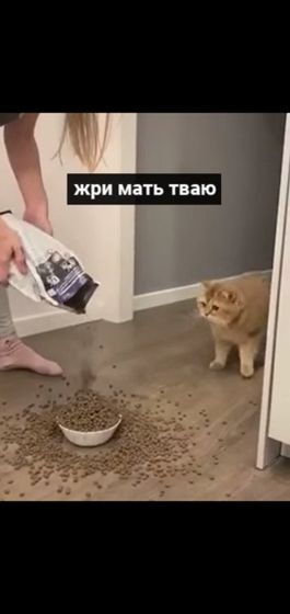 Спокойной ночи всем ?