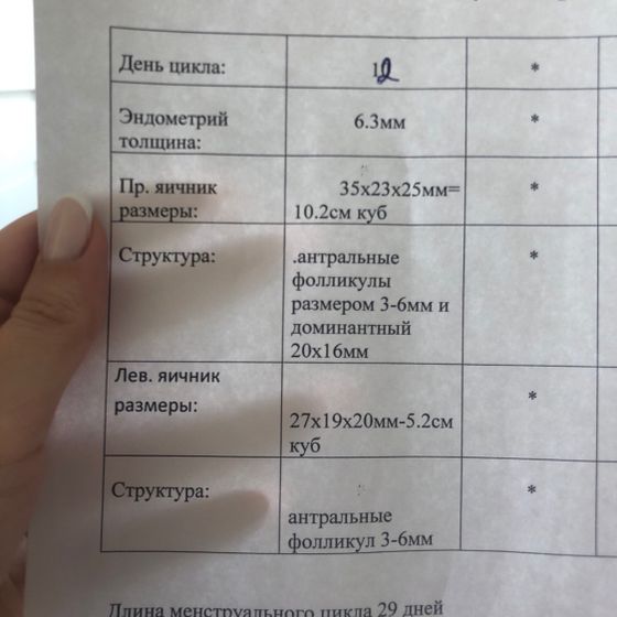 Овуляция