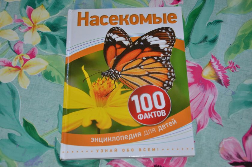 Летние занятия детей.