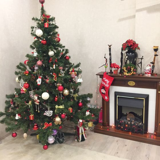 Ну встретили🎄