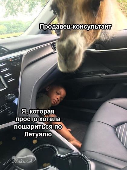 🤣🤣