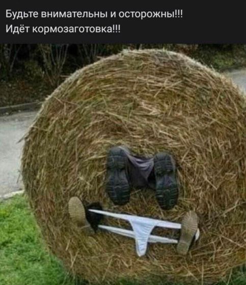 Юмор на ночь)