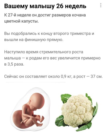 Последняя неделька второго триместра ?