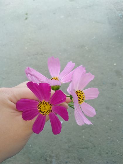 Радуйтесь мелочам
