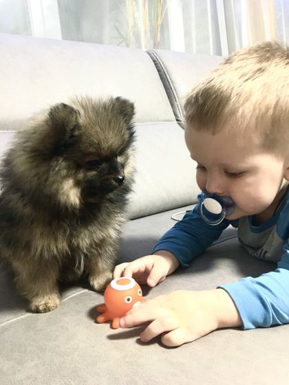 2 года сынишки ?