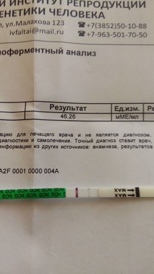 13 дпп