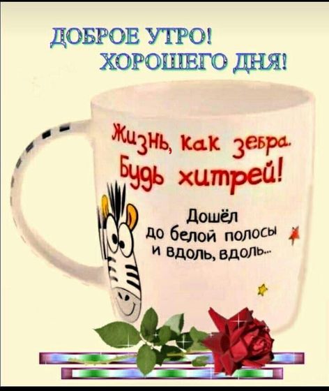 Интересные фразочки- сына√3 Вообще