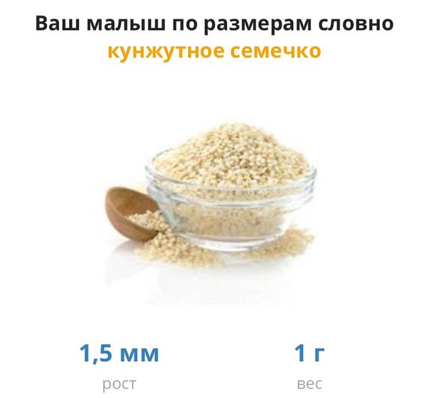 5 недель
