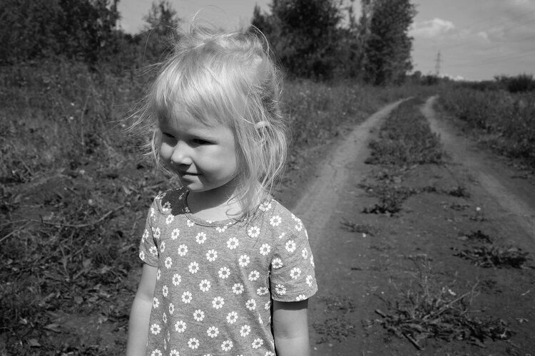 Ах лето... 🌾🕊☀️