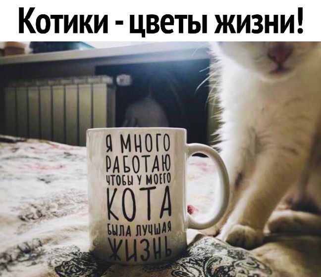 Вы уже многое умеете для работы на дому! Как это монетизировать?